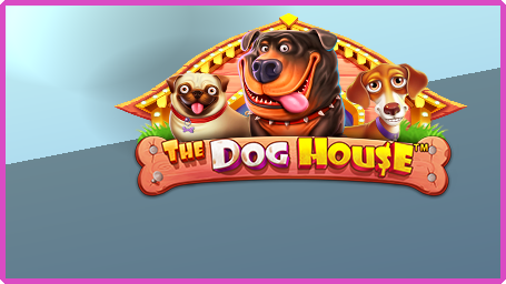 The Dog House